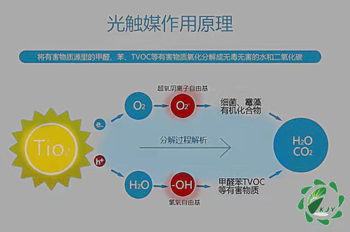 微信图片_202202151312002.jpg